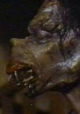 Impaktita