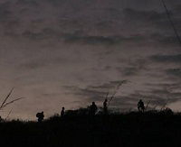 Los salvajes (2012)