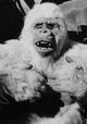 The Ivory Ape