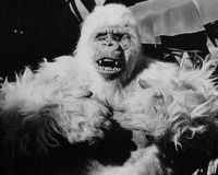 The Ivory Ape (1980)