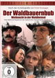 Der Waldbauernbub