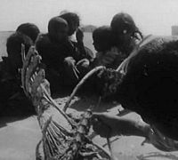 Everyday Life in a Syrian Village (1976)