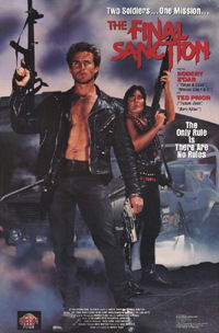 The Final Sanction (1990)