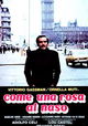 Come una rosa al naso