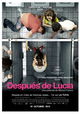 Después de Lucía
