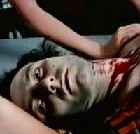 Die Weibchen (1970)