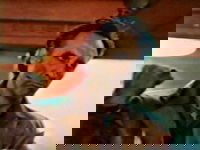 Nightside (1980)