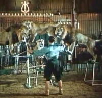 Cirkus bude