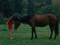 Leçon de vie (1995)