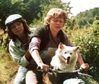 Kopretiny pro zámeckou paní (1981)