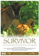 Survivor