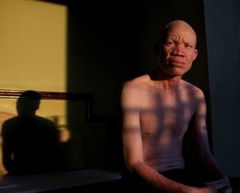 In the Shadow of the Sun (2012)