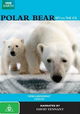 Polar Bears: Spy on the Ice