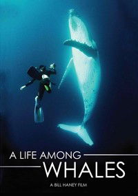 A Life Among Whales (2005)