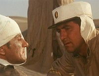 Oáza (1973)