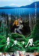 Aokigahara