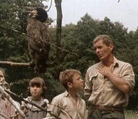 A Kárókatonák Még Nem Jöttek Vissza (1985)