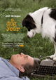 A Dog Year