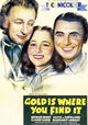 Gold Is Where You Find It