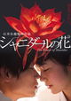 Shanidaru no Hana