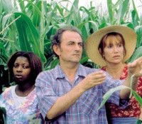 Les Coquelicots Sont Revenus (1999)