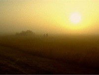 Disappearing Landscape (2013)