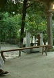 Canícula