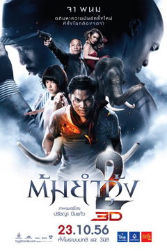 The Protector 2 (2013)
