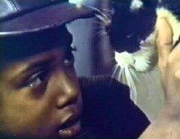 J.T. (1969)