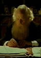 Darwin