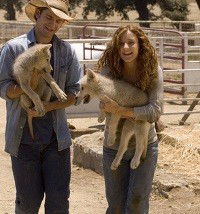 Wild Hearts (2006)