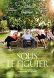 Sous le Figuier