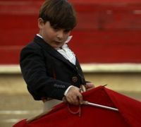 Little Matador (2012)