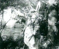 Alice in Wonderland (1915)