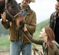 After the Fall (2010)