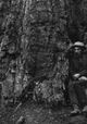 Eadweard Muybridge, Zoopraxographer