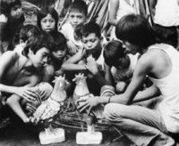 Turumba (1981)