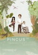 Pincus