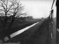 Transes, Reiter auf dem Toten Pferd