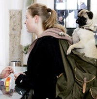 Molly & Mops (2007)