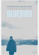 Bluebird