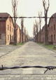 Auschwitz, Premiers Témoignages