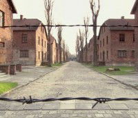 Auschwitz, Premiers Témoignages (2010)