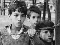 Tomka Dhe Shokët e Tij (1977)