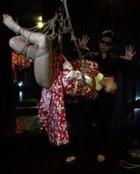 Pinku Eiga: Inside the Pleasure Dome of Japanese Erotic Cinema (2011)
