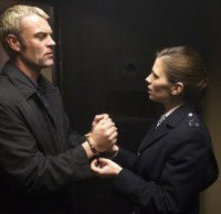 Life of Crime (2013)