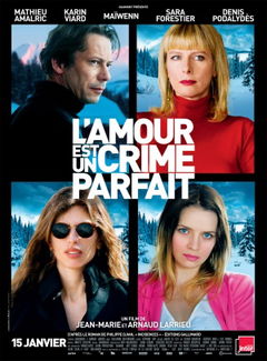 L'amour est un crime parfait (2013)
