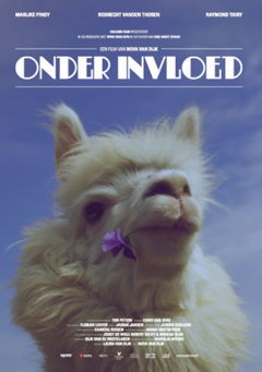 Onder Invloed (2013)