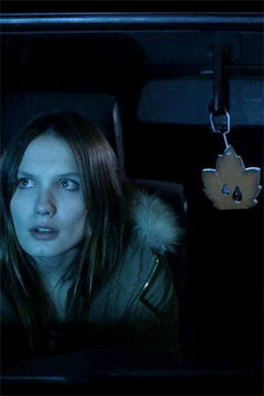 L'aurore Boréale (2013)