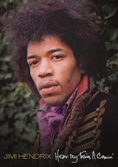Jimi Hendrix: Hear My Train a Comin' (2013)